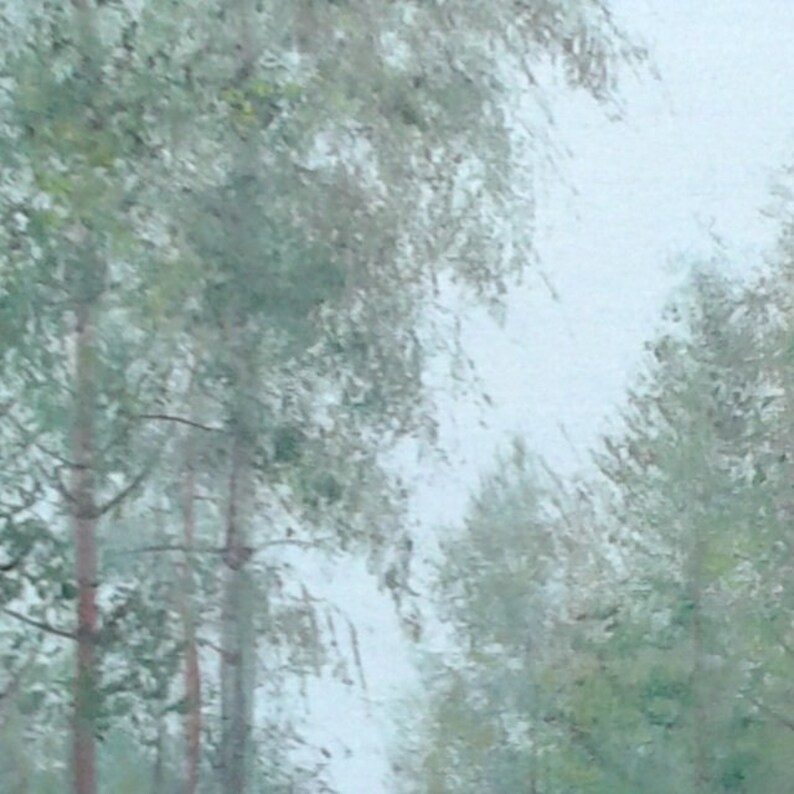 Rainy Day Forest Art - Original Oil Painting - After Rain Scene - Realistic Oil Art - 19.7x15.7 - Calming Wall Decor - Spa Decor - Cabin Art image 6