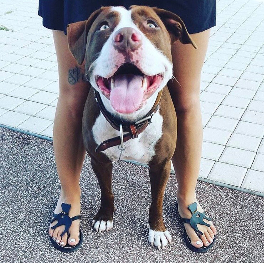 Pitbull Amstaff Bully Lady Shoes Flip Flops leather Handmade Etsy