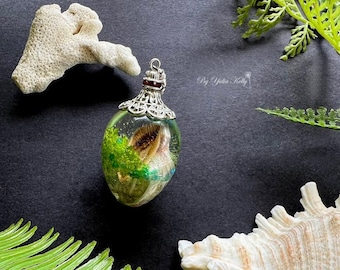 Seashell Oval Necklace, Real Seashells Necklace, Crystal Resin Moss Necklace, Real Shell Necklace, Shell Jewelry, Oval Moss Resin Necklace