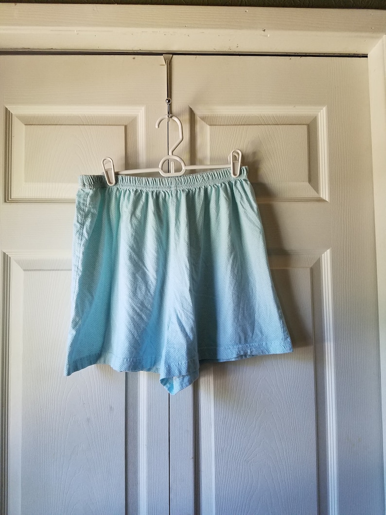 fruity lemon blue gingham plaid shorts shirt cute 50/% OFF CLEARANCE sz XL Carole Hochman New York women/'s two-piece pajama set