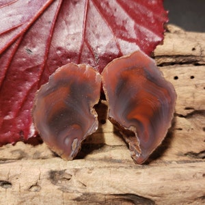 Dancing Flame Large Nodule Pair