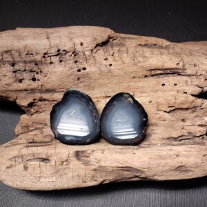 May include: Two agate slices with black outer edges and white and gray banded interiors. The slices are on a piece of driftwood.