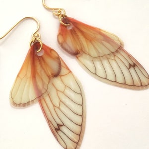 Grown up fairy wing earrings, for the serious fairy, Cicada wing earrings, gold plated steel hooks, semi transparent realistic wing earrings