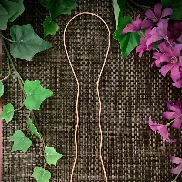 Indoor Ivy Plant Trellis Etsy