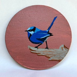 Stalwart (Splendid Fairywren)