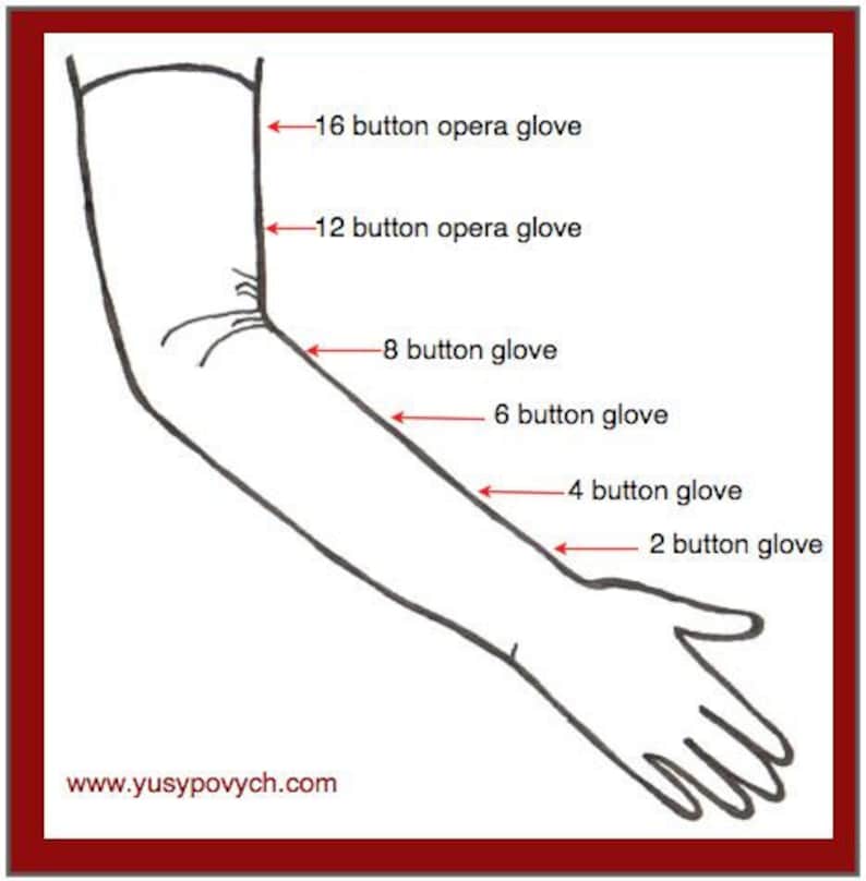 May include: Line drawing of an arm with labels indicating glove lengths. The labels read: 16 button opera glove, 12 button opera glove, 8 button glove, 6 button glove, 4 button glove, and 2 button glove. The website www.yusypovych.com is also visible.