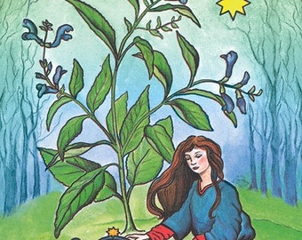 The Herbal Tarot Deck