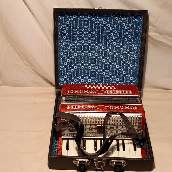 Vintage Children's Accordion / 16 bass /with Hard Case- MADE IN USSR