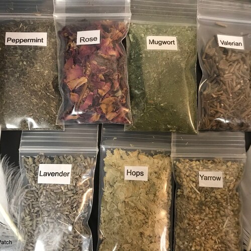 Dreamtime Herb Kit 1 Herbs for Dreaming 2X3 Inch Bags Etsy