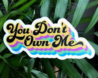You Don't Own Me Sticker, 70s Retro Decal, Feminist Vinyl Die Cut Decal, Laptop Sticker Art, Groovy Decal, Girl Power Sticker