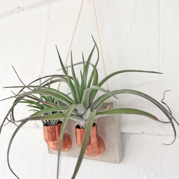 Copper Cement Double Air Plant Holder | Air Plant Wall Hanging | Air Plant Holder | Planter | Hanging Plant | Gift For Her