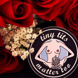 Małe Cycki sprawa zbyt winylu estetyczne naklejki, naklejki Tumblr, laptop naklejki (2 1/4 cala przez 2 1/4 cala)