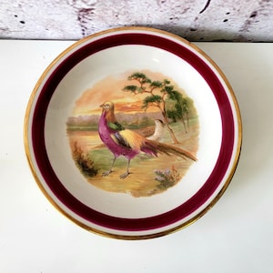 Golden Pheasant Gold Guilded Porzellan Imperial Germany Schwarzenhammer Germany Plate