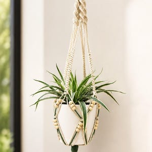 May include: A macrame plant hanger made of cream and dark green cord, featuring wooden beads and a knotted design. It holds a white ceramic pot containing a green and white spider plant, with a long tassel hanging from the bottom centre.