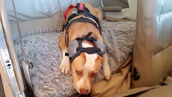 Dog bed liners sale