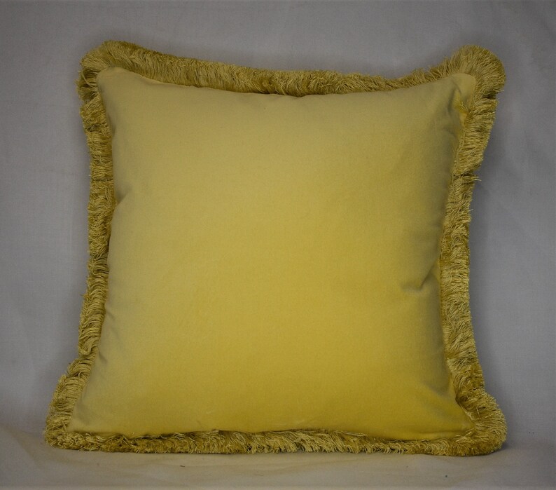 Large velvet decorative throw pillows with fringe for sofa Etsy