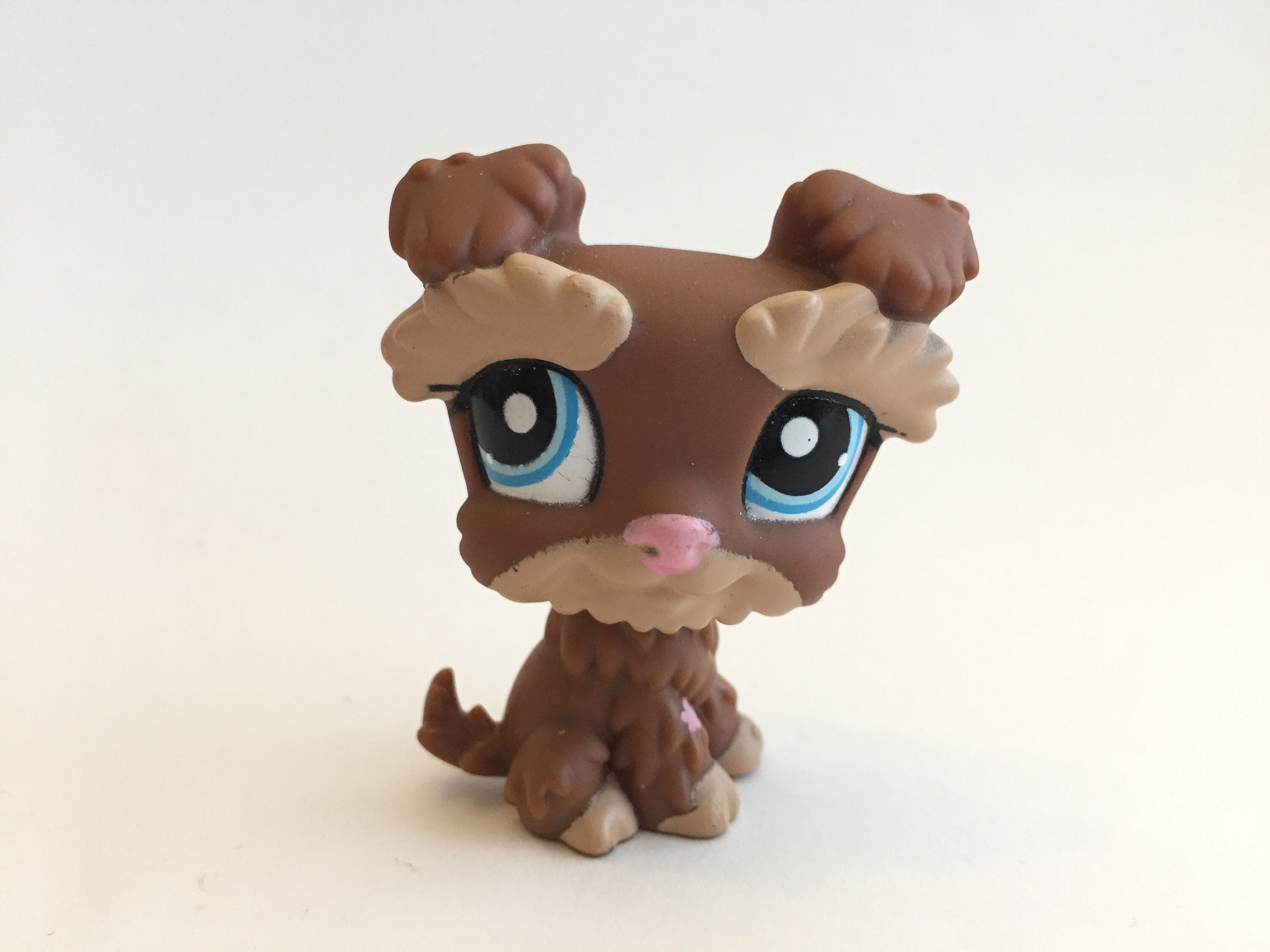 labrador mini poodle mix