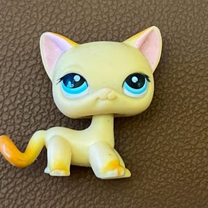 LPS Littlest petshop pet shop chien chat européen teckel colley cat dog rare eBa