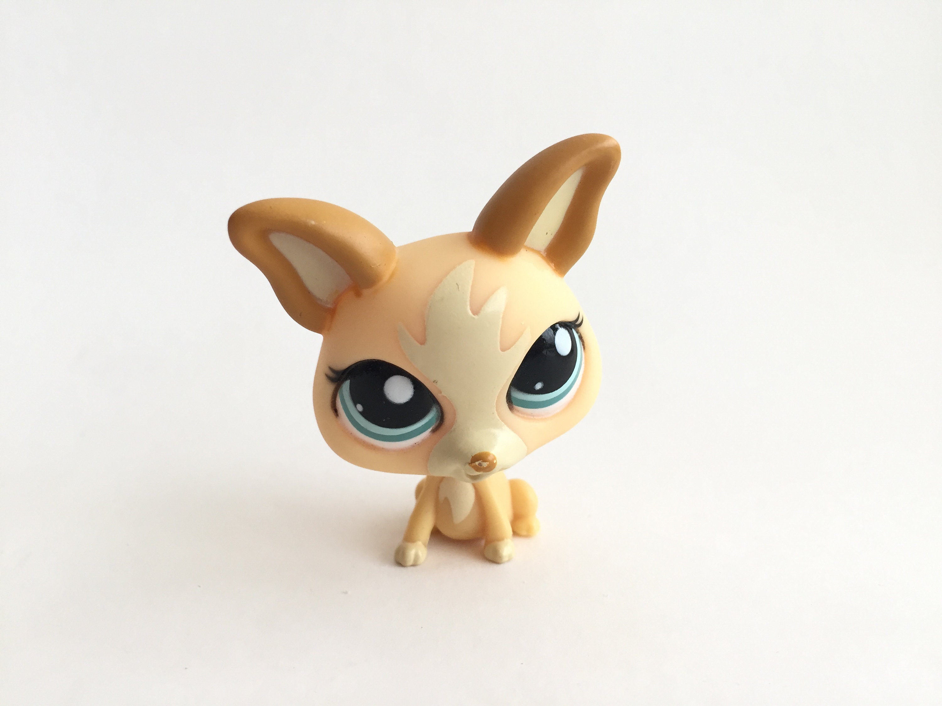chihuahua lps
