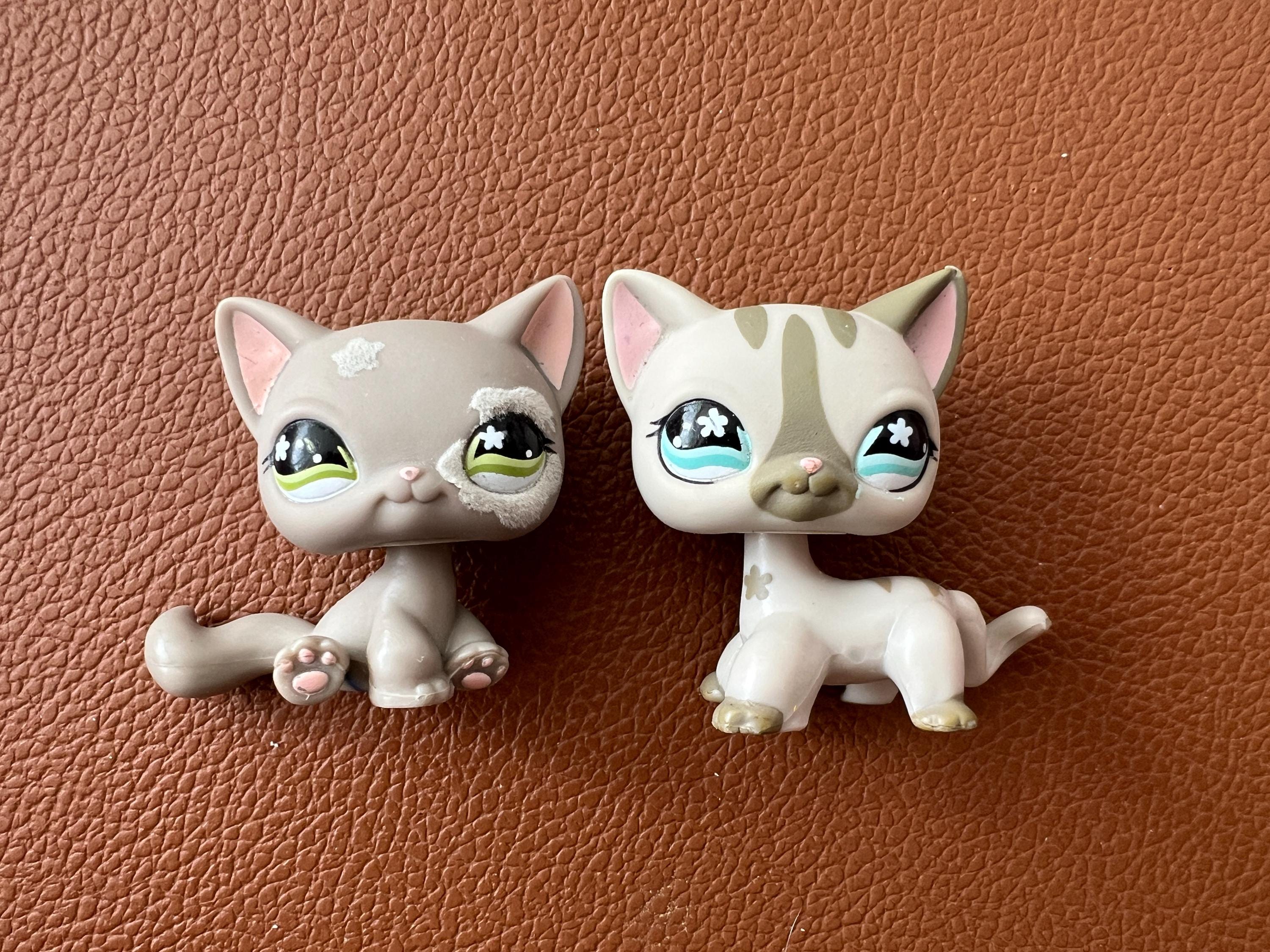 Shorthair Littlest Pet Shop Animals List LPS CAT Rare Pet Shop