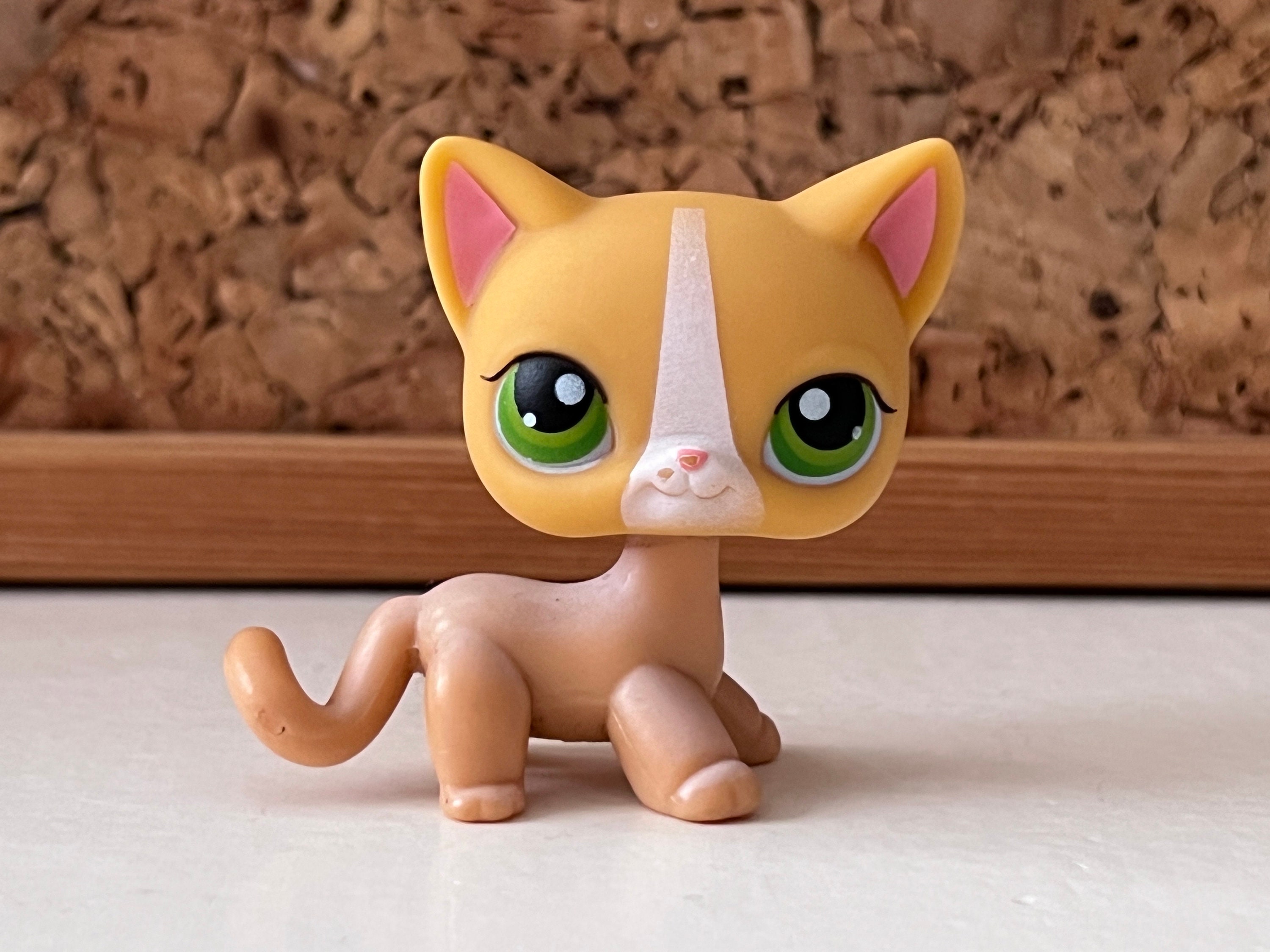 Littlest Pet Shop N°72 - Chat Européen Authentique HASBRO (occasion)