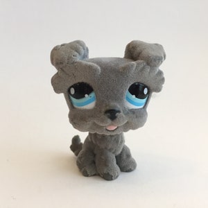 lps schnauzer