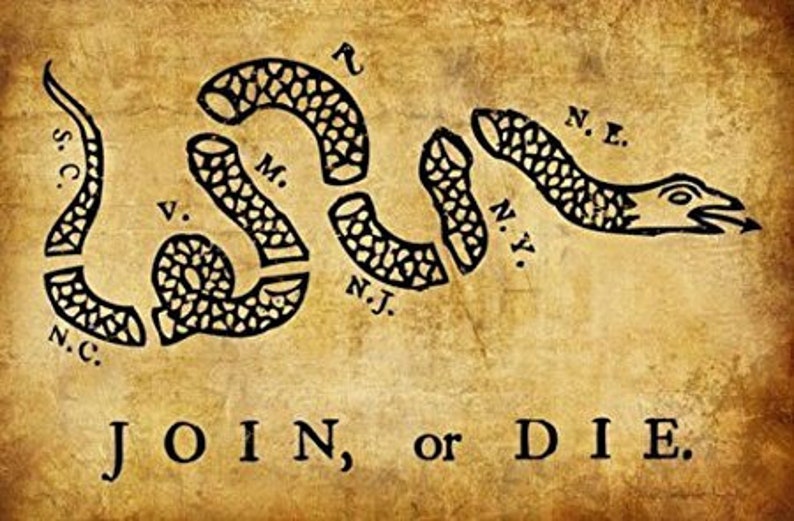 VINTAGE Join or Die Flag Sticker historic ben franklin | Etsy