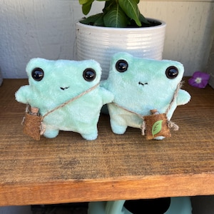 Frog, frog plushie, frogs, handmade, sewn plushie, plushie with bag, small plushie, frog plushies, plushies, handsewn, cute, cute frog