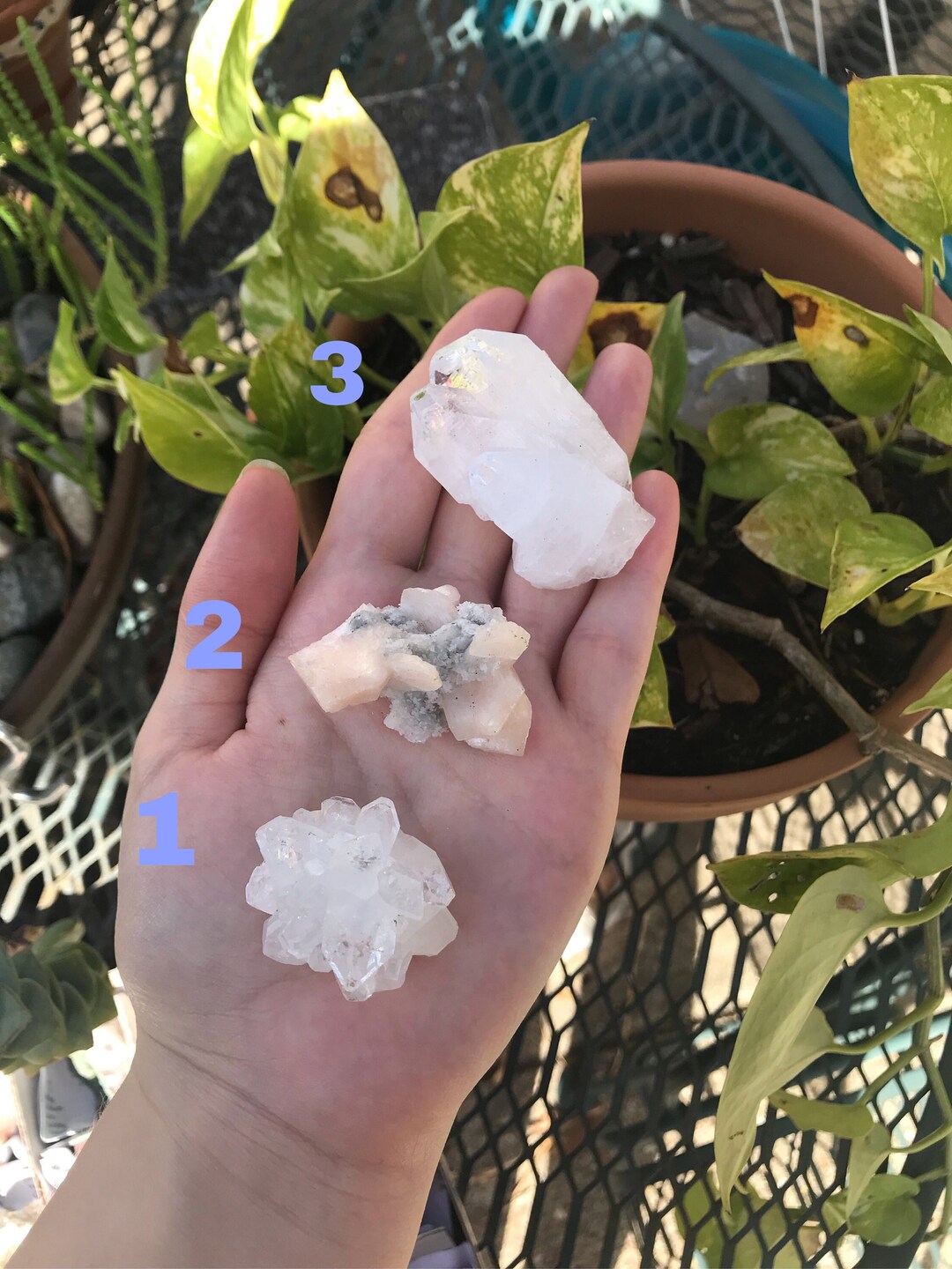 120 Zeolite Assorted Zeolite Assorted Apophyllite You Etsy