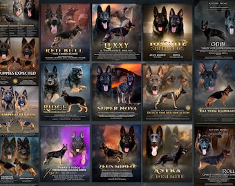 German Shepherd advert for breeders, working stud dog kennel presentation,  planned litter announcement, custom flyer banner design, gsd gift