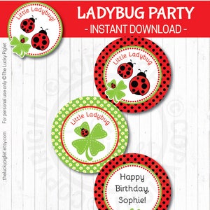 LADYBUG DECORATIONS, Ladybug Centerpieces, Ladybug Favor tag 3, Ladybug Birthday Party Prints Instant Download, Edit Text in Adobe Reader image 4
