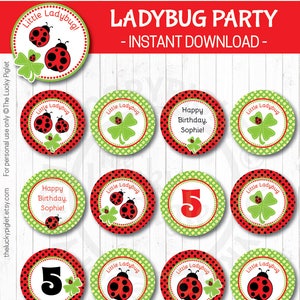 LADYBUG DECORATIONS, Ladybug Centerpieces, Ladybug Favor tag 3, Ladybug Birthday Party Prints Instant Download, Edit Text in Adobe Reader image 3