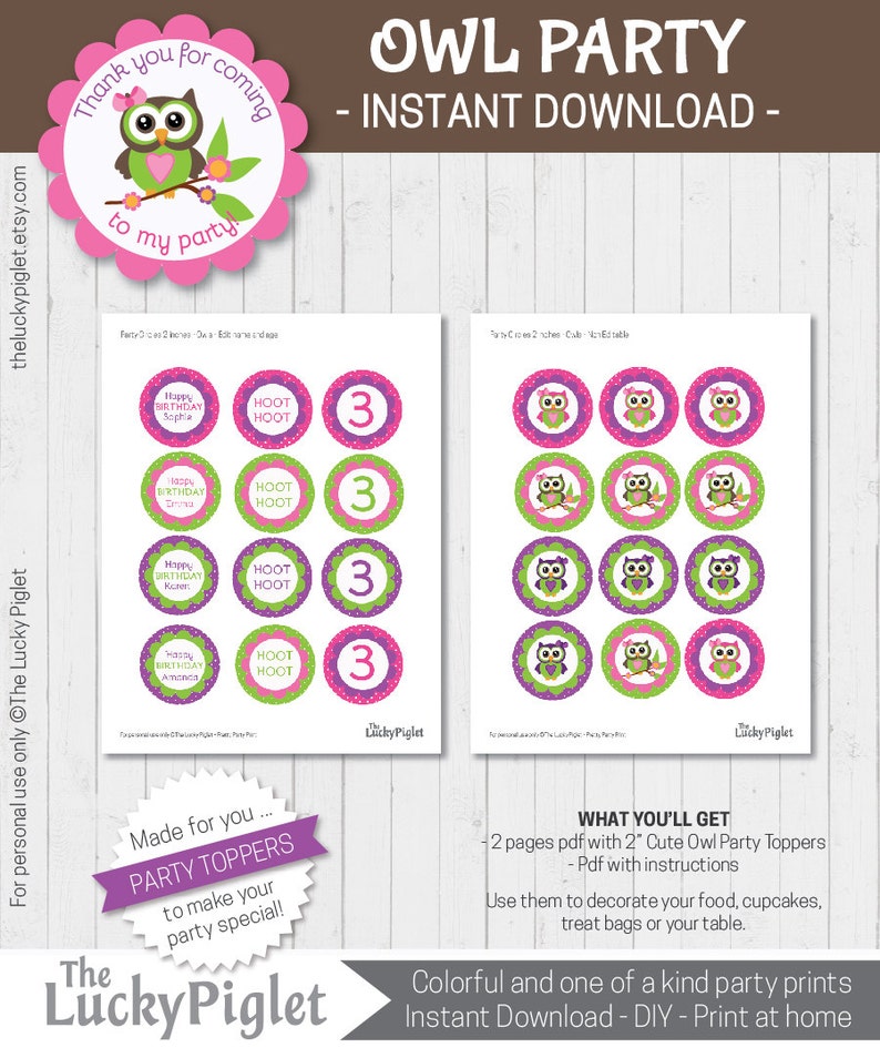 Owl Cupcake Toppers. Printable Owl Party Circles for Owl Birthday and ...