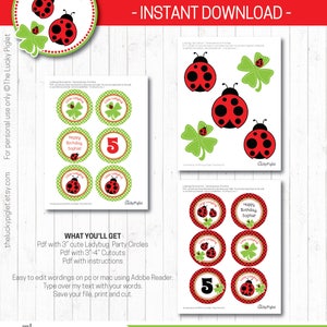 LADYBUG DECORATIONS, Ladybug Centerpieces, Ladybug Favor tag 3, Ladybug Birthday Party Prints Instant Download, Edit Text in Adobe Reader image 2