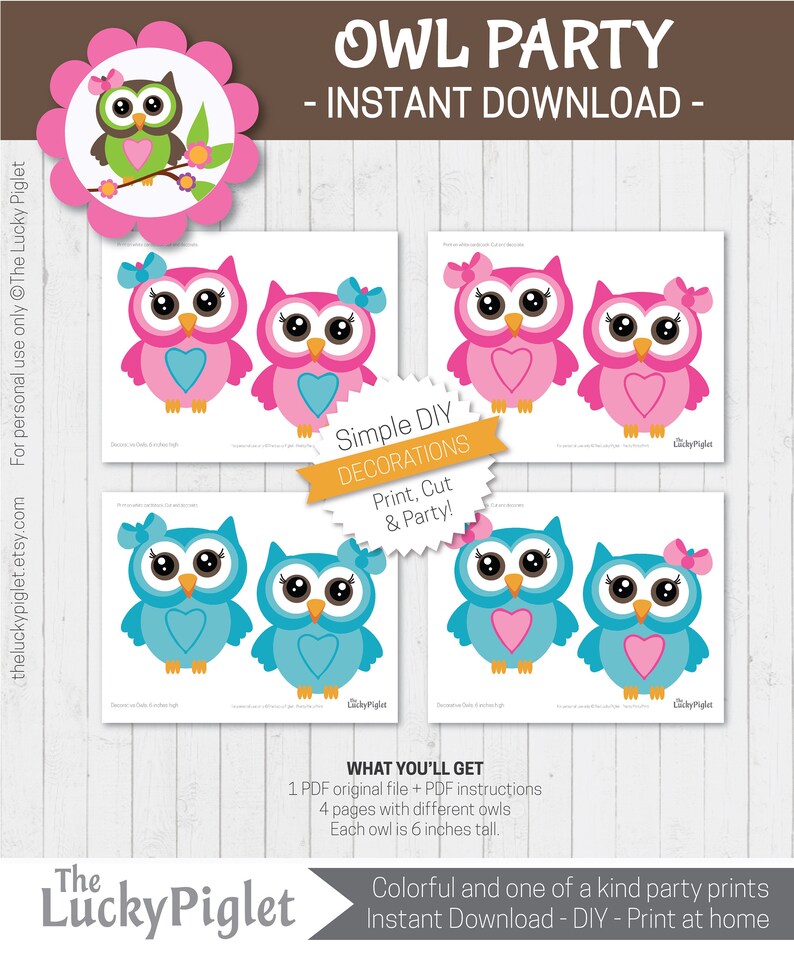 OWL DECORATIONS Pink and Teal, Owl Birthday Party, Owl Baby Shower ...