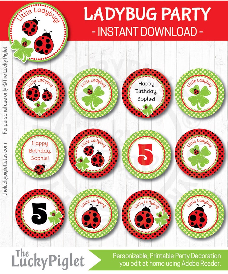 LADYBUG DECORATIONS, Ladybug Centerpieces, Ladybug Favor tag 3, Ladybug Birthday Party Prints Instant Download, Edit Text in Adobe Reader image 3