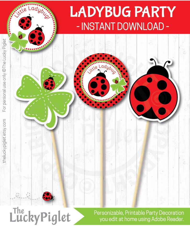 LADYBUG DECORATIONS, Ladybug Centerpieces, Ladybug Favor tag 3, Ladybug Birthday Party Prints Instant Download, Edit Text in Adobe Reader image 1