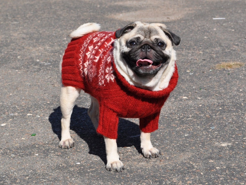 Dog sweater Knit dog sweater Sweater for pug Clothing for dog Etsy