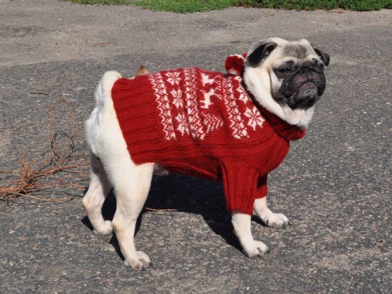 Dog sweater Knit dog sweater Sweater for pug Clothing for dog Etsy