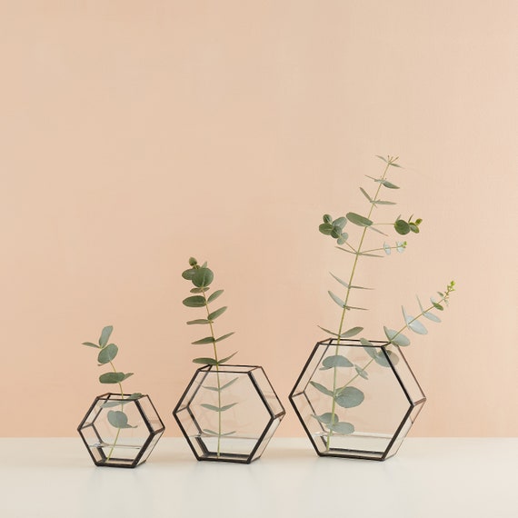 Varro Hexagon Glass Shelf Box Etsy