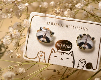 Pendientes de mapache adorables, de acero quirúrgico, regalo para amantes de los mapaches.