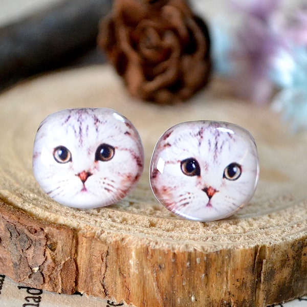 Scottish Fold - Etsy