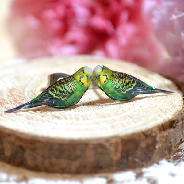 Boucles d’oreilles Budgies Bird faites à la main Petits bijoux avec sac en coton lin