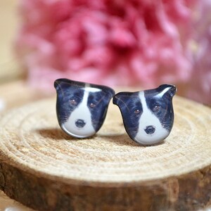 Border Collie Hund Ohrstecker, Sterling Silber Ohrringe, Edelstahl Ohrringe, Hund Schmuck, Geschenk für Hundebesitzer, Geschenk für Hundeliebhaber