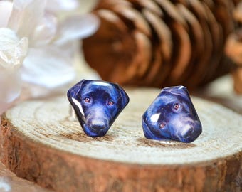 Schwarzer Labrador Retriever Hundeohrringe, Sterlingsilberohrringe, Edelstahlohrringe, Hundeschmuck, Geschenk für Hundebesitzer, Geschenk für Hundeliebhaber