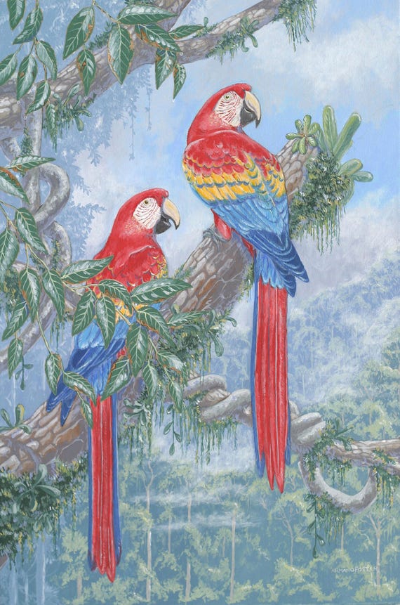 SCARLET MACAWS high in a tropical forest - Original oil painting on stretched canvas by Armand Foster - 20" x 30"