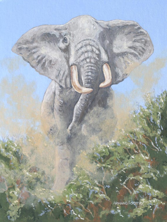 FROM OUT of the BUSH - A warning!  Beautiful original oil  on canvas board by Armand Foster - 16" x 12"