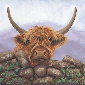 Highland Cow - Stunning original oil study on stretched canvas by Armand Foster - 20&quot; x 16&quot;