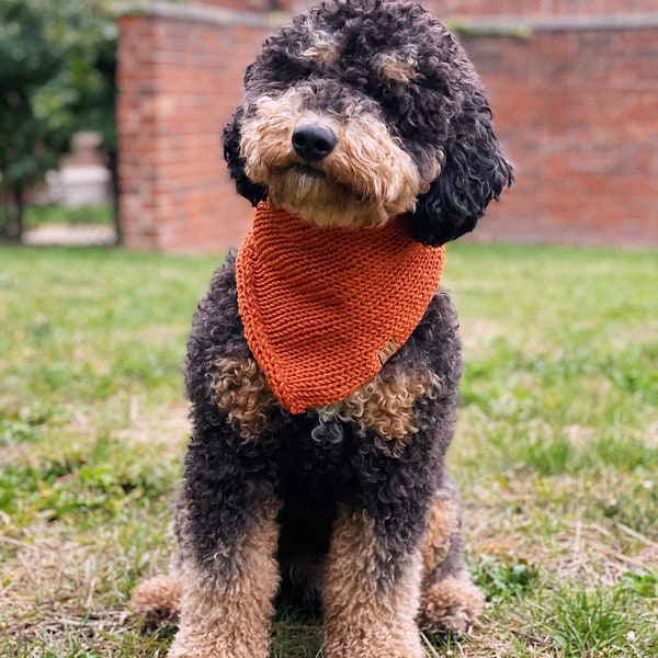 Knitted Dog Bandana