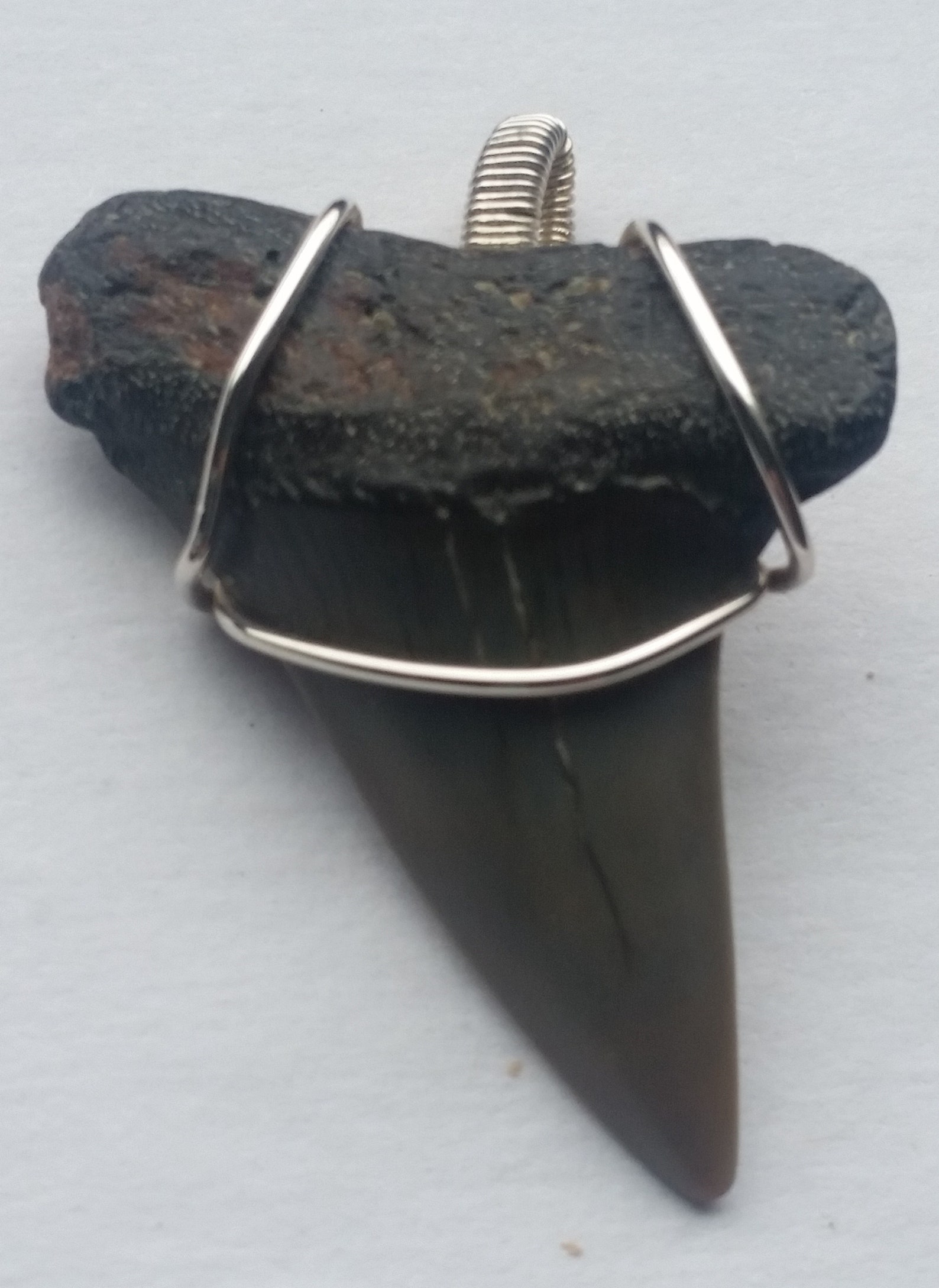 Wire Wrapped Shark Tooth Pendant Etsy